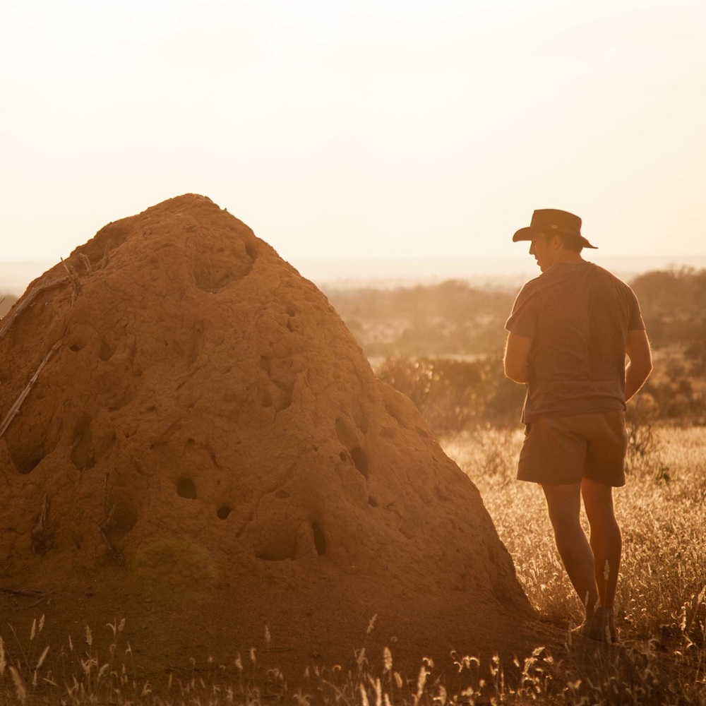 Meet your Posher, Gareth